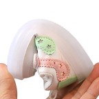 Baskets Bébé Légères et Respirantes pour Nouveau-né
