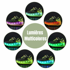Baskets Enfant à Roulettes et Lumières – Style Héros Urbain