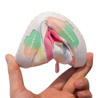 Baskets Montantes Star pour Enfants