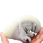 Chaussures Bambino FlexRun – Style et Confort