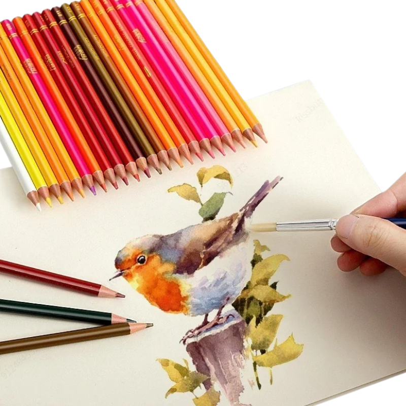 Coffret Professionnel de Crayons de Couleur Aquarelle avec Trousse