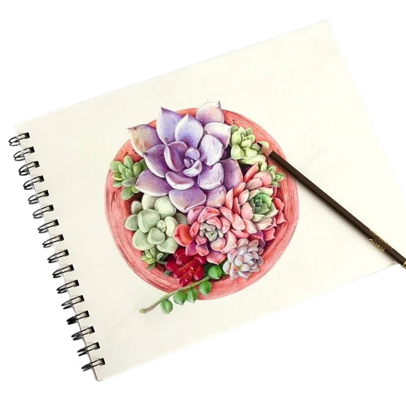 Coffret Professionnel de Crayons de Couleur Aquarelle avec Trousse