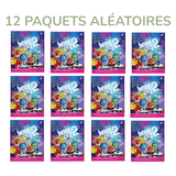 12 Paquets Aléatoires
