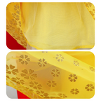 Déguisement Princesse Classique Enfant – Robe Conte de Fées