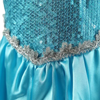 Déguisement Princesse des Glaces pour Enfant