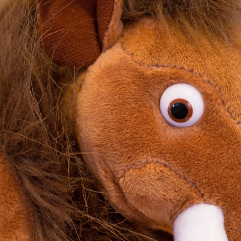 Peluches Animaux Préhistoriques – Collection Aventure