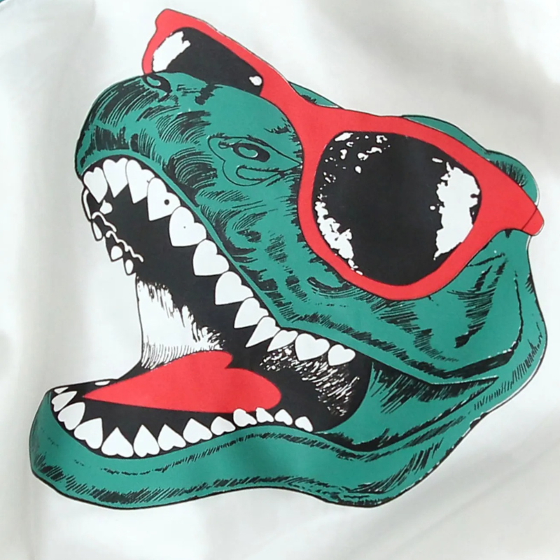 Veste Enfant Coupe-Vent Motif Dinosaure T-Rex