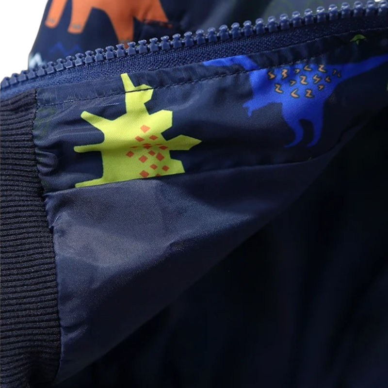 Veste Enfant Garçon Dinosaure