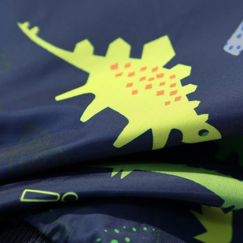Veste Enfant Garçon Dinosaure